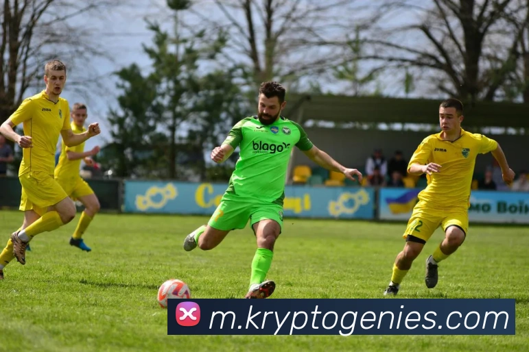 mksports网站平台生态图