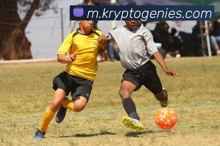 mksports网站全站App